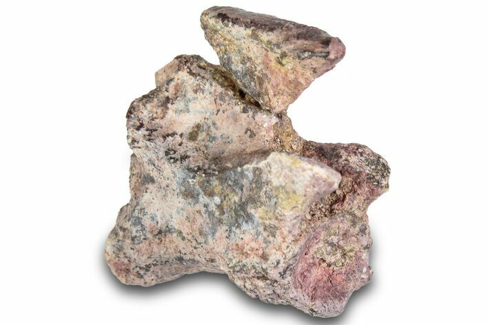 Triassic Theropod Dinosaur (Coelophysis) Vertebra - Texas #315707